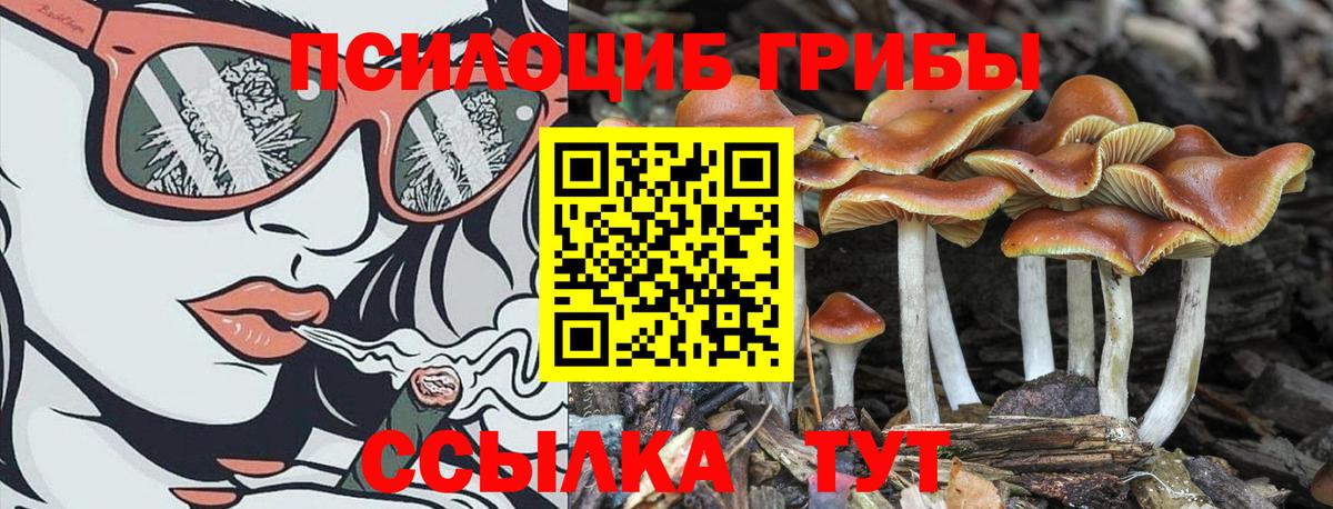Галлюциногенные грибы мухоморы  где можно купить   Феодосия  Вход с VPN 