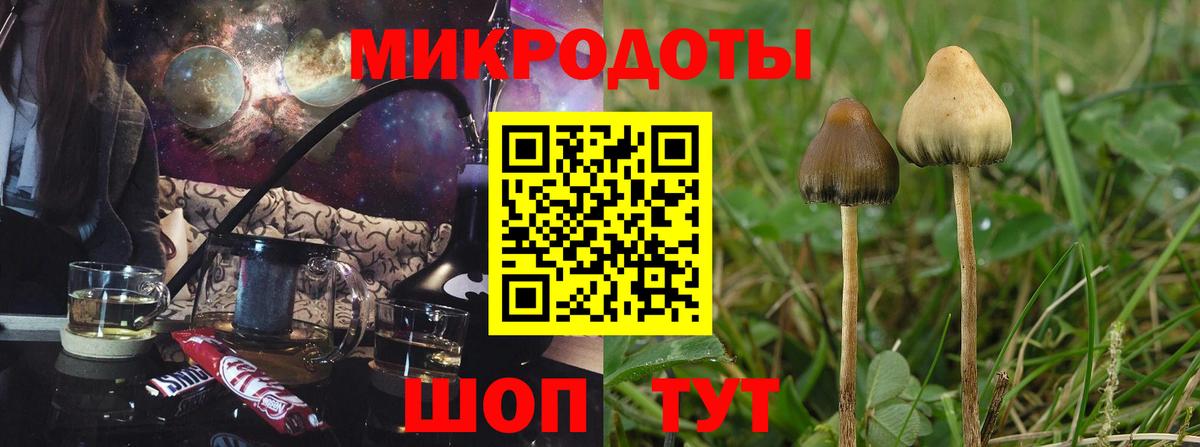 Псилоцибиновые грибы ЛСД Феодосия
